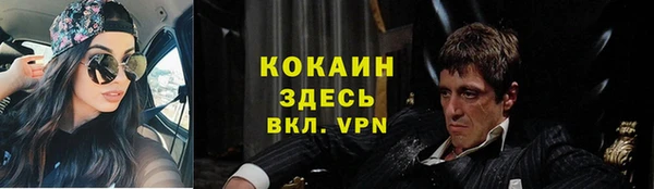 хмурый Няндома