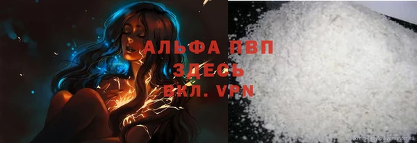 хмурый Няндома