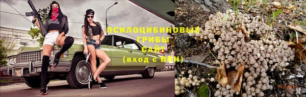 хмурый Няндома