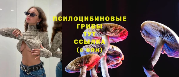 MDMA Новодвинск