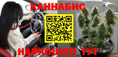 a pvp Новодвинск