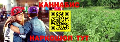 a pvp Новодвинск