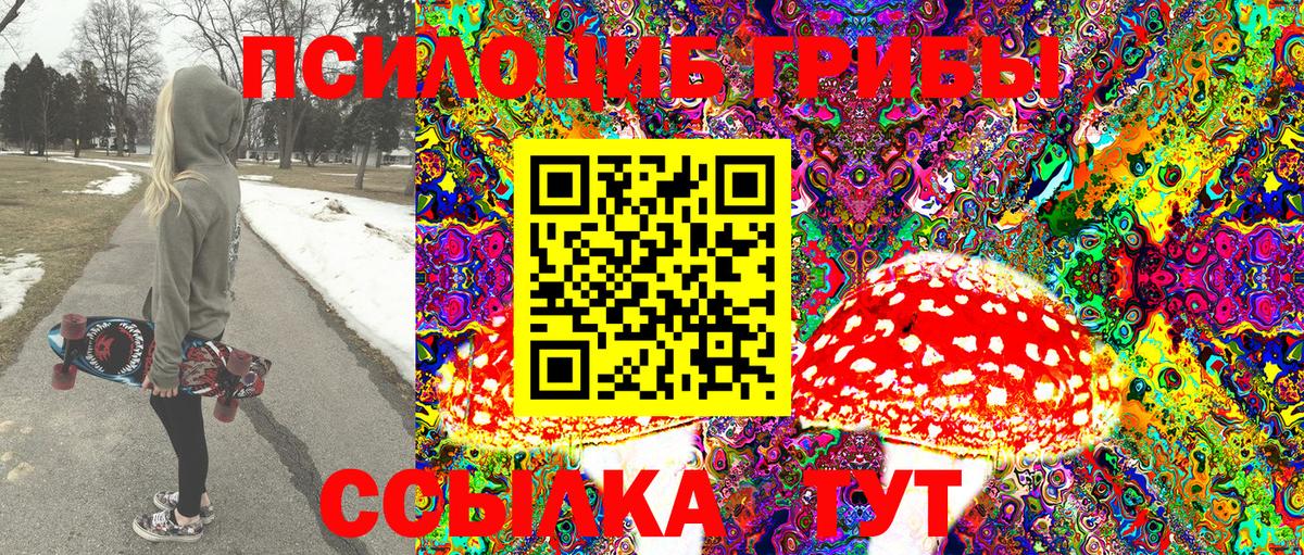 Псилоцибиновые грибы Cubensis Нягань