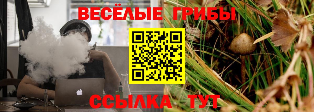 Псилоцибиновые грибы Magic Shrooms  Вход с VPN  Нягань 